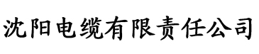 快喵成人短视频App电缆厂logo